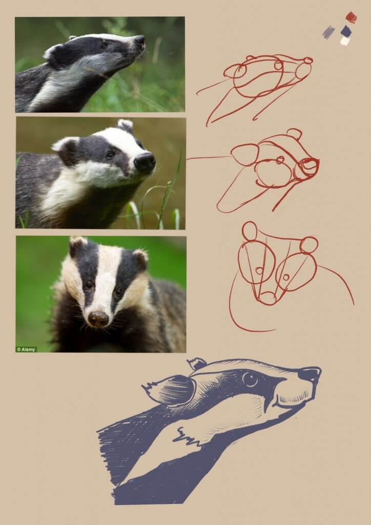 Badger